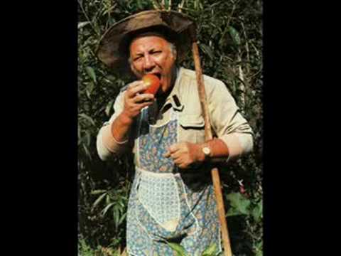 Reginella campagnola (CLAUDIO VILLA)