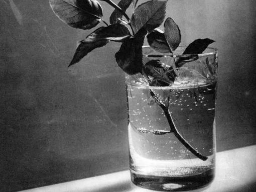 Josef Sudek